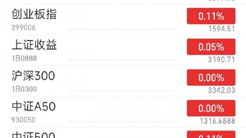 从怀疑到真香：我一个门外汉搞同花顺AI项目代理的这半年